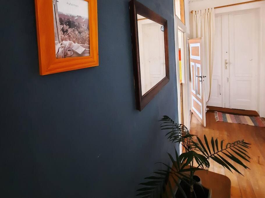 Altbau Charme & Mittendrin Stralsund Eksteriør billede